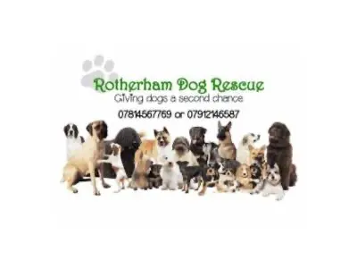 Rotherham Dog Rescue logo