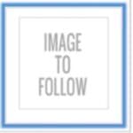 Betty, a 4 years old female Pomeranian available for adoption from Almost Home NI in Northern Ireland